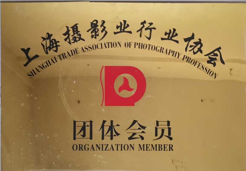 上海摄影行业会员证书